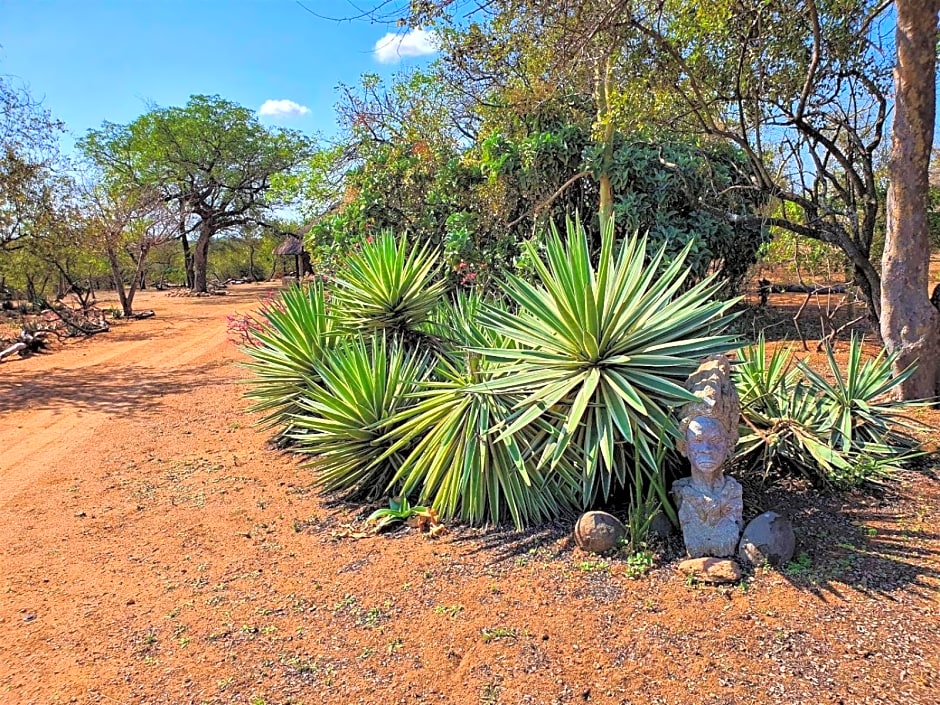 Masorini Bush Lodge & Safari Tents