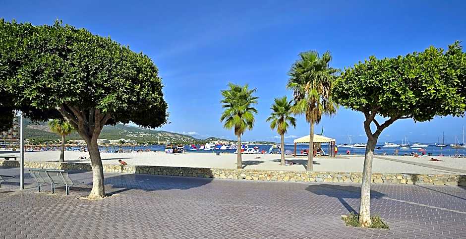 Sol Palmanova-Mirlos Tordos