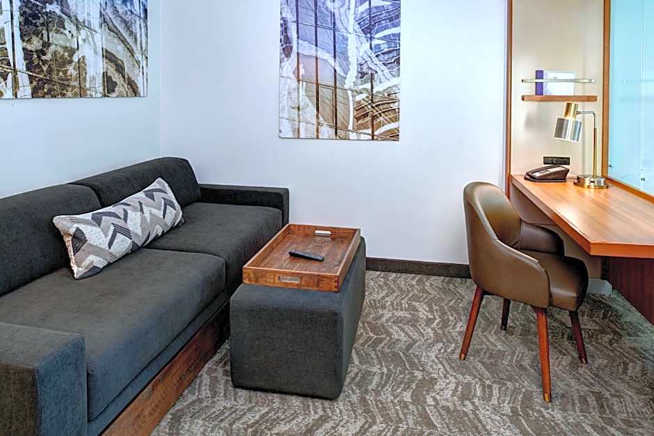 SpringHill Suites by Marriott Saginaw