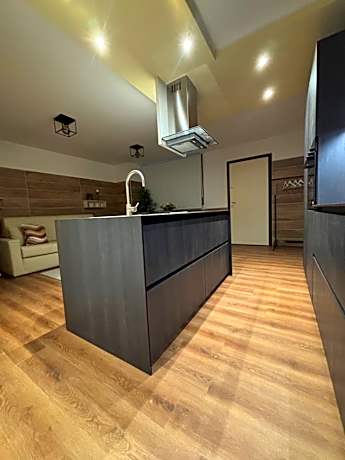 Deluxe One-Bedroom Apartment