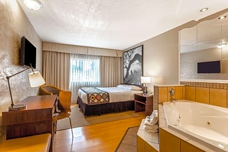 1 Queen Bed Deluxe Suite Non-Smoking