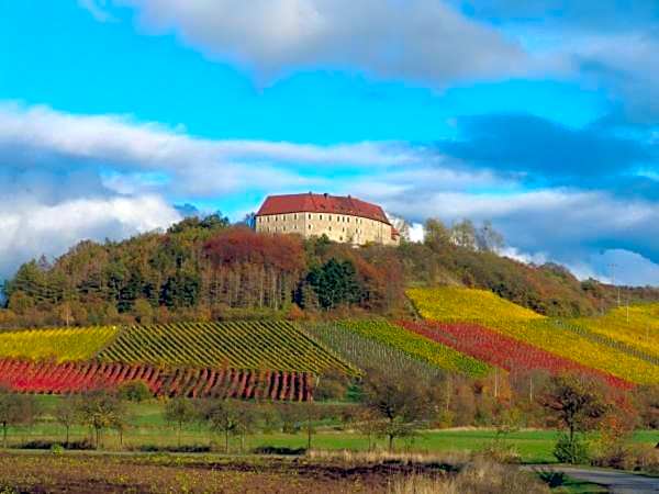 Schwarzer Adler - Hotel Garni