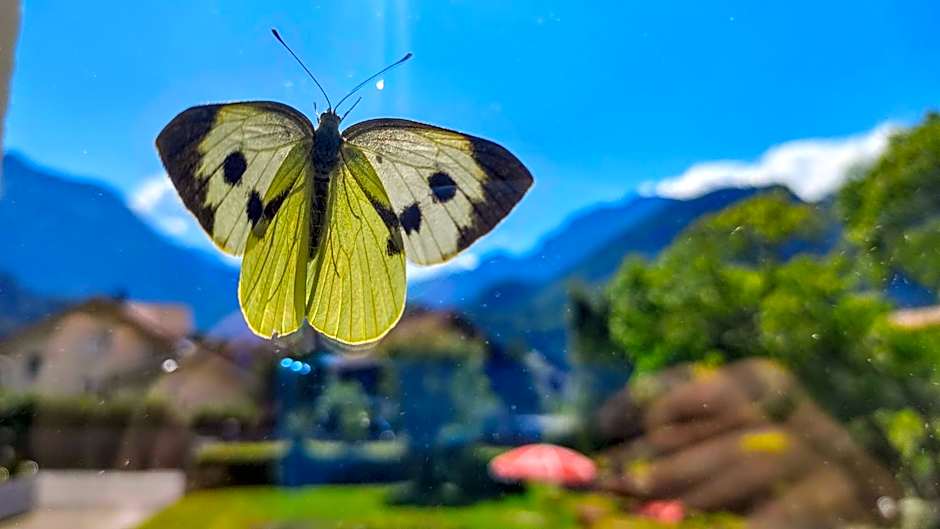 Adventure Hostel Interlaken