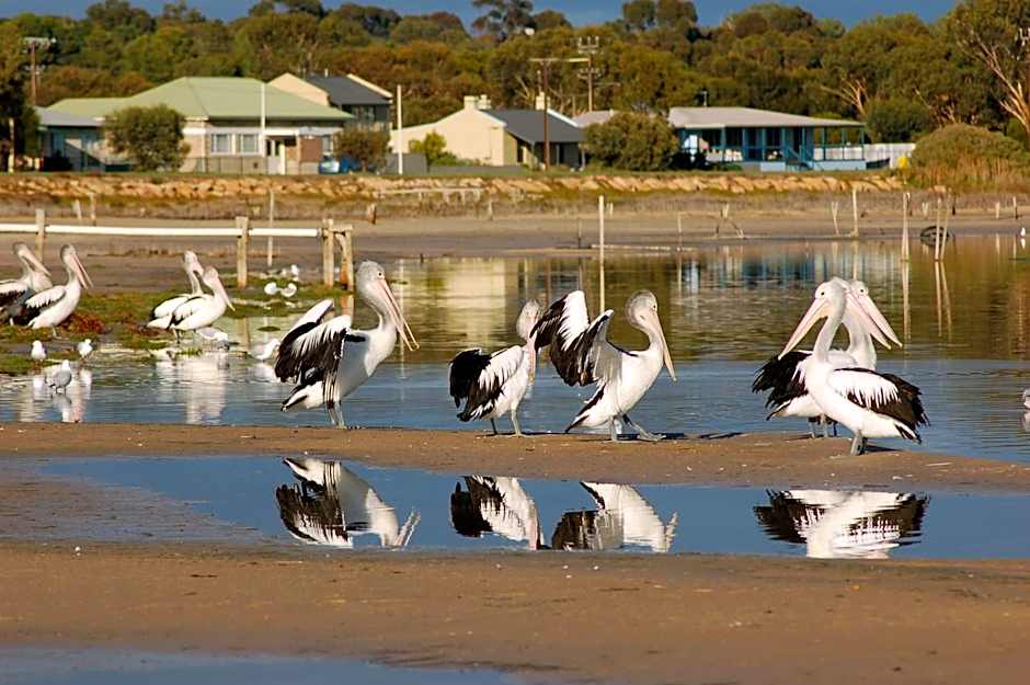 Meningie Waterfront Motel