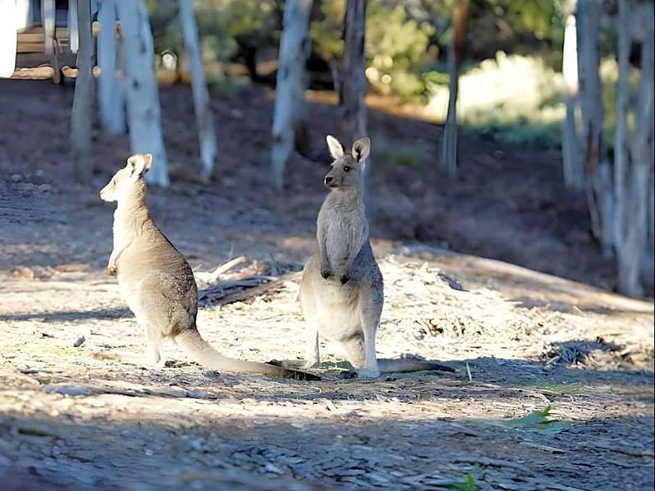 UniLodge @ UC Short Stays