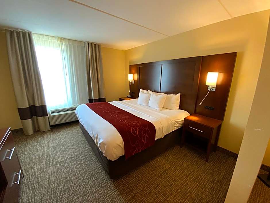 Comfort Suites Fredericksburg