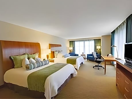Deluxe Queen Bed
