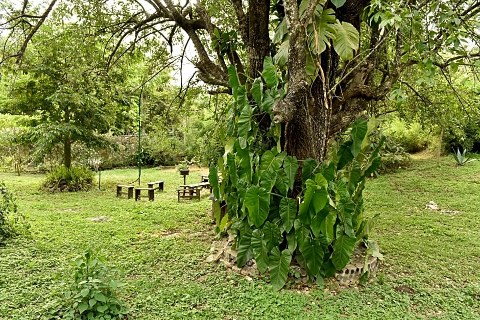Cabanas Sierra Gorda