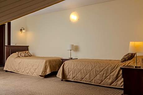 Twin Room - Attic with SPA Access