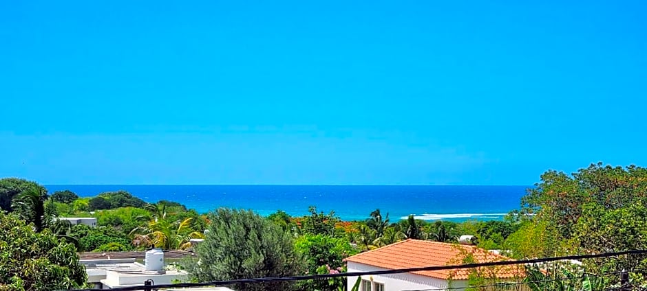 Abiki Mauritius with Tourism Authority Permit
