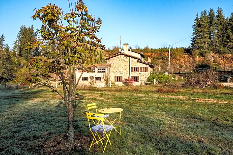 Moulin des Comtes - Chambre les Rochers