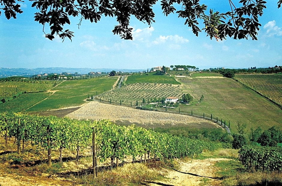 Poderi Arcangelo