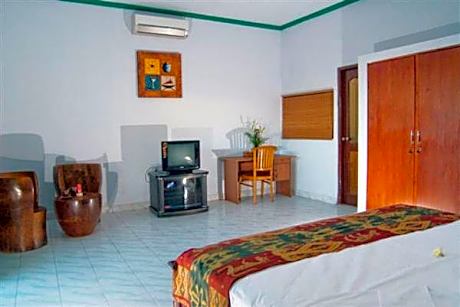 Deluxe Double Room with Pool Access