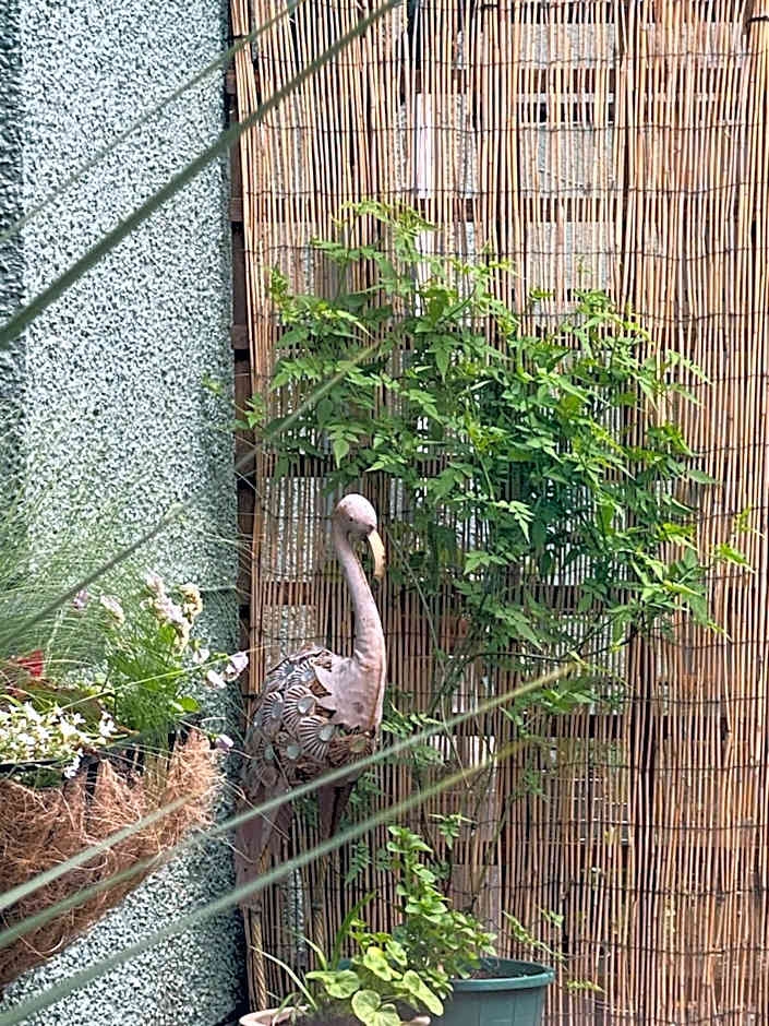 The Inn on the Moor Hotel