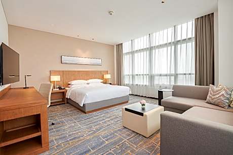 Specialty King Bedwith Sofa Bed