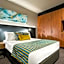 Elite Gold Coast