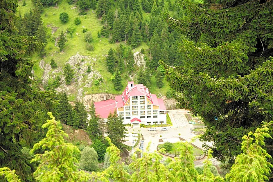 Hotel Green Valley Savsat