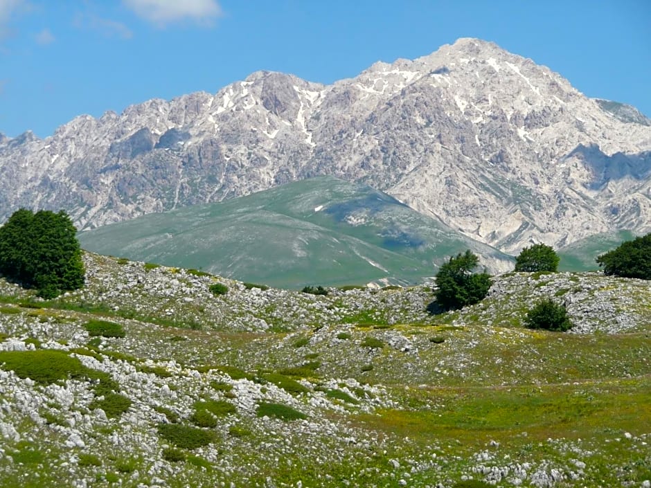 La Bifora e Le Lune Vico sotto gli archi 5