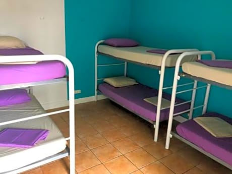 Bed in 6-Bed Mixed Dormitory Room