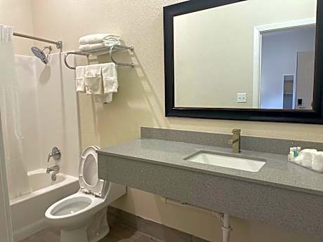 Standard King Room - Non Smoking
