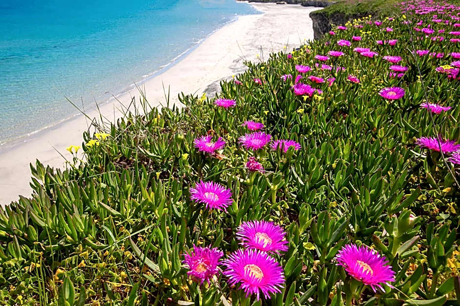 Palma Residence Salento