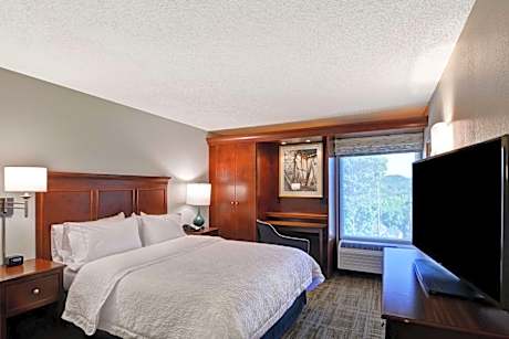 Queen Room with Roll-In Shower - Mobility Access/Non-Smoking