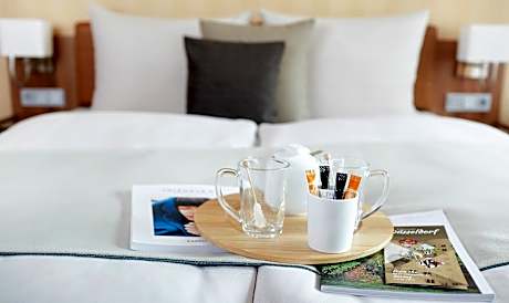 Business Double Room