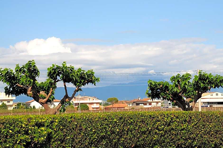 Agriturismo Frontemare