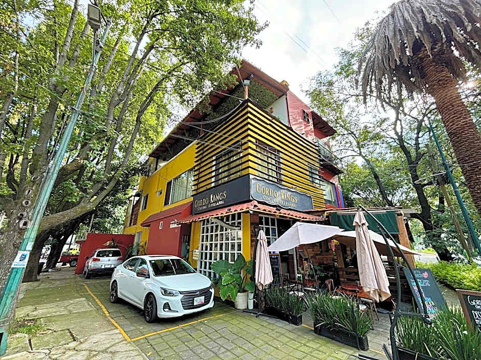 Collection O Casa Anzures Thematic, Mexico City – Mexico City, PR