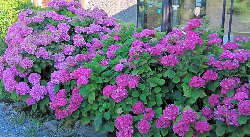 Le Grand Chemin de La Vie