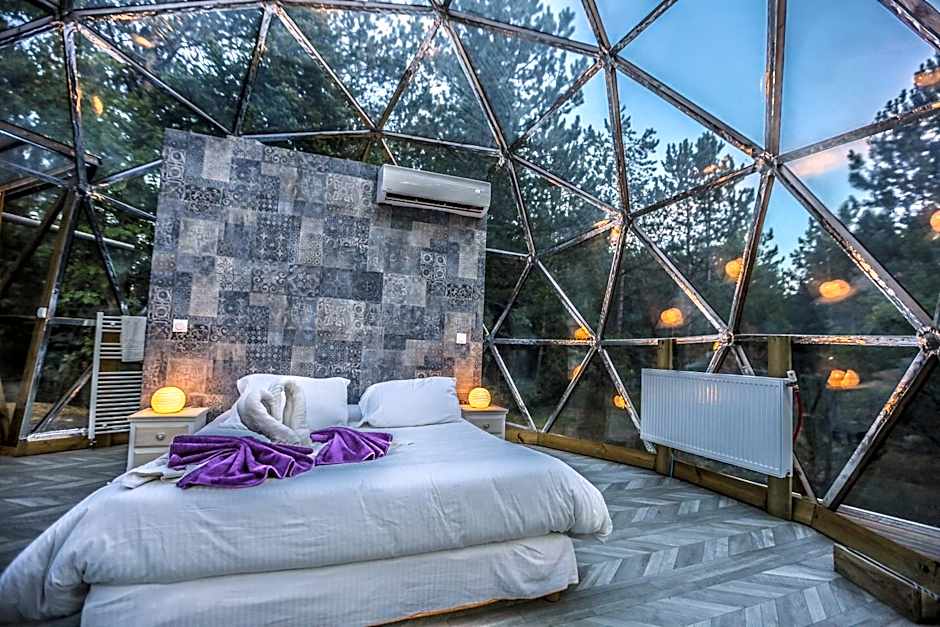 Domaine de la Font Vineuse & Spa