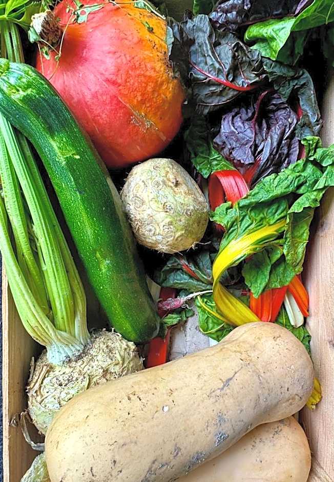 Château de l'Epinay