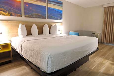 1 King Bed Efficiency Room Non-Smoking