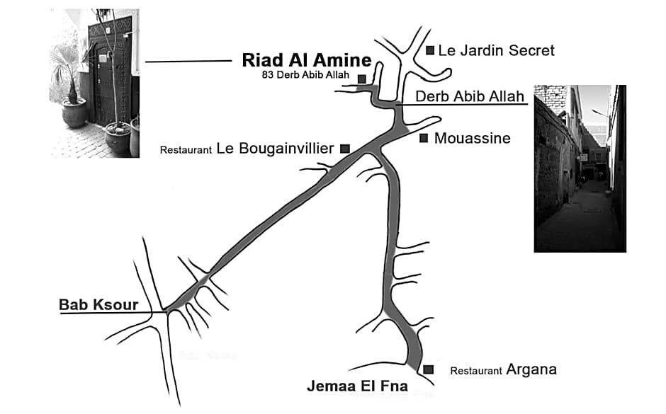 Riad Alamine