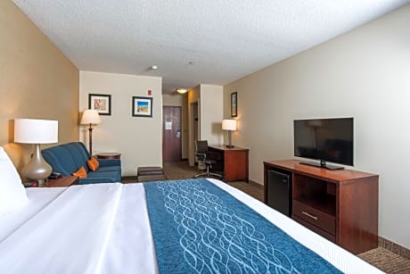 1 King Bed  Suite  No Smoking  Accessible Room