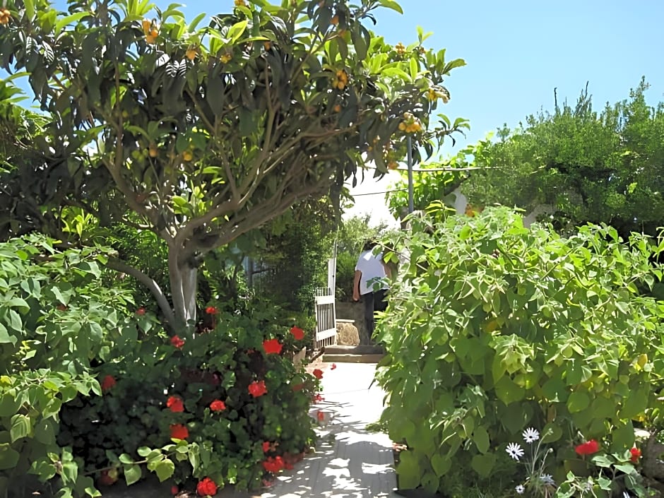 Porto Monte