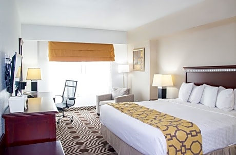 1 King Bed Non-Smoking