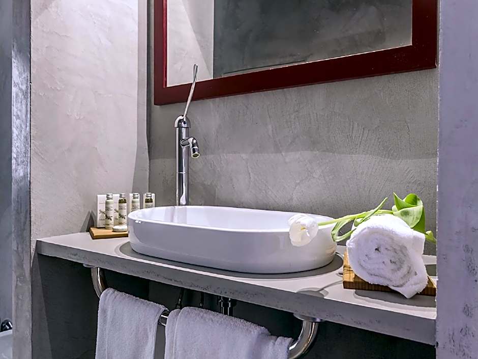 Hotel Astro Mediceo