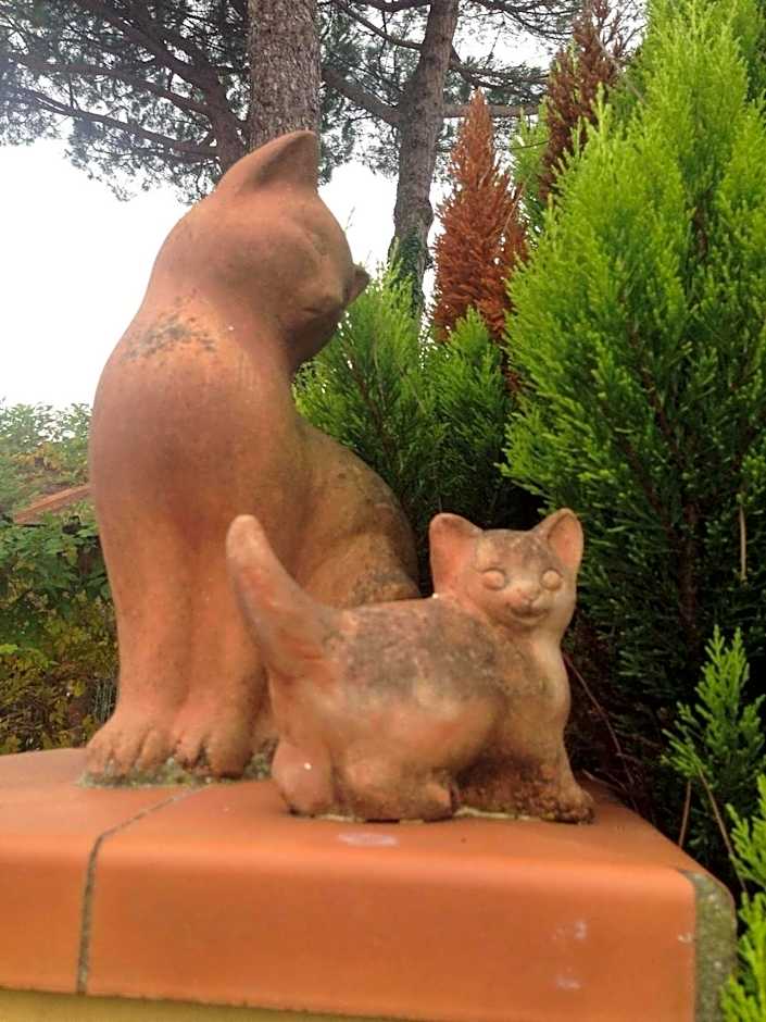 B&B Il Casale di Nanni