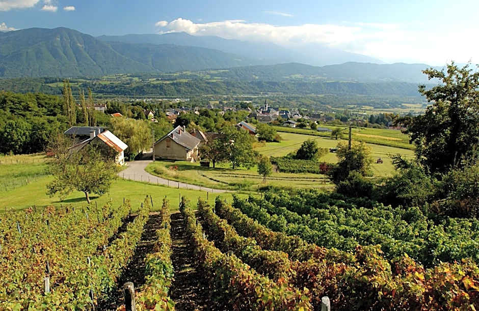 La Croix de Savoie & Spa