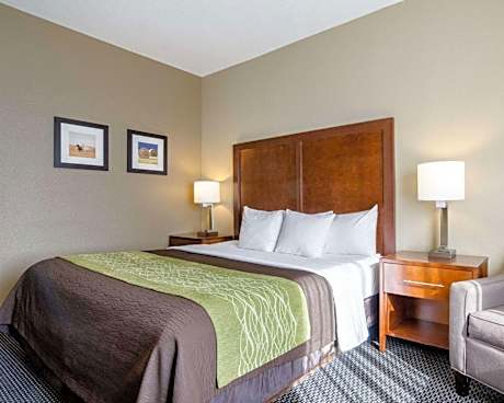 Comfort Inn Garden City