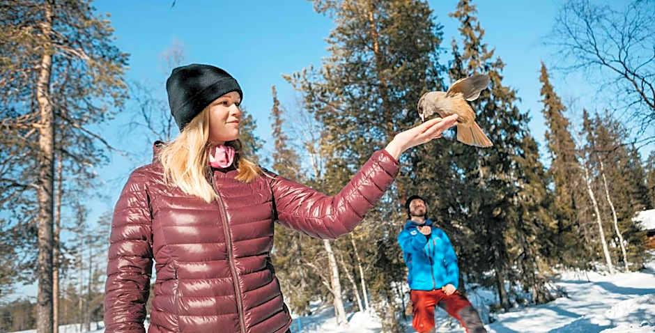 Lapland Hotels Hetta