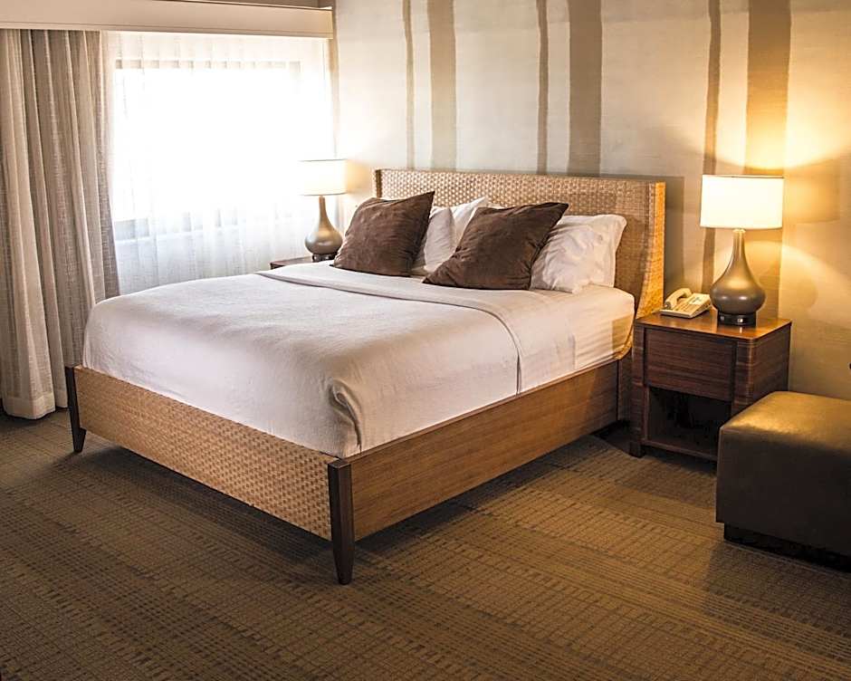 DoubleTree by Hilton Rapid City Downtown Convention Center