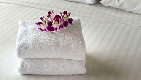 2 Double Beds Suite Non-Smoking