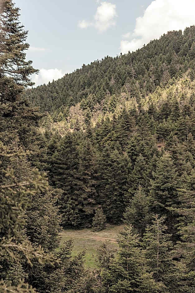 MANNA, a Member of Design Hotels