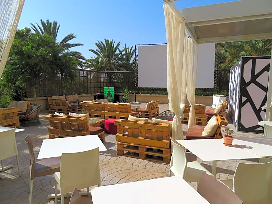 Ibis Tlemcen