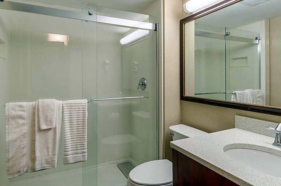 Comfort Inn & Suites West Springfield