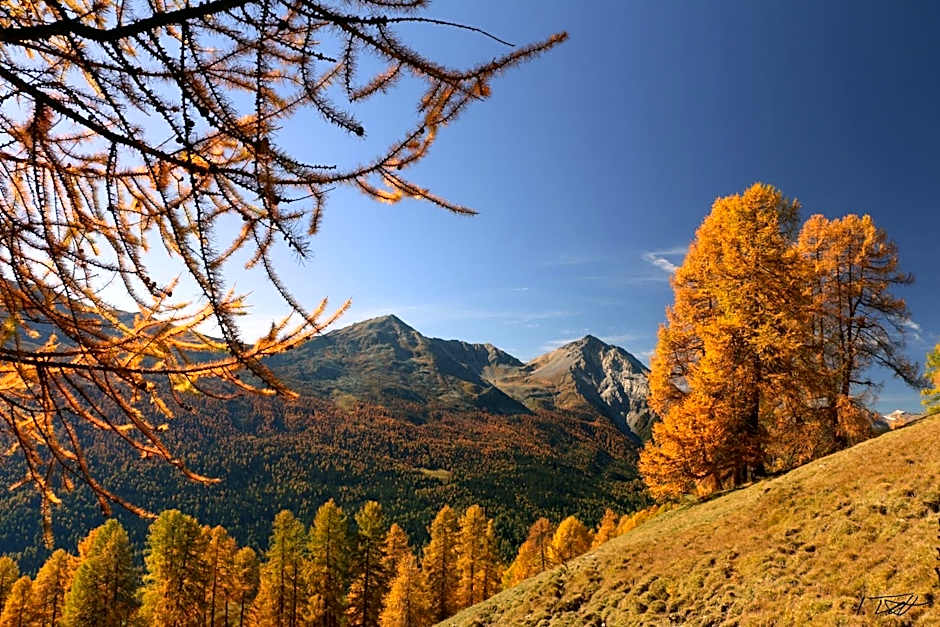 Hotel Central La Fainera Superior