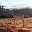 Tausa Tsavo Eco Lodge