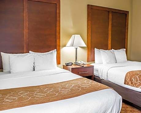 Queen Suite with Two Queen Beds - Non-Smoking - Pets